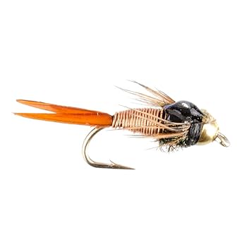 Amazon.com : The Fly Fishing Place Trout Fly Starter